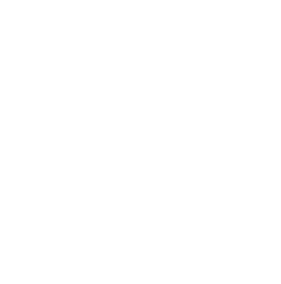 nice life