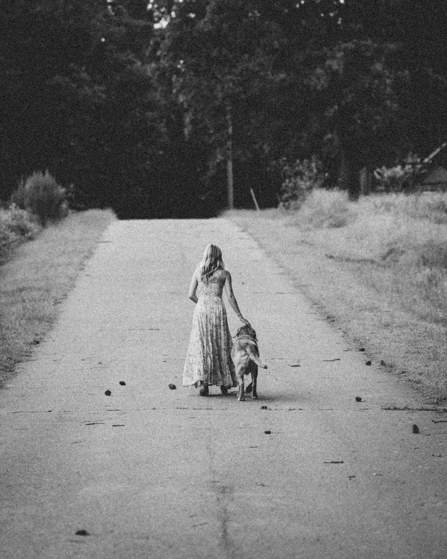 Black-and-white portrait walking a dog along a quiet road