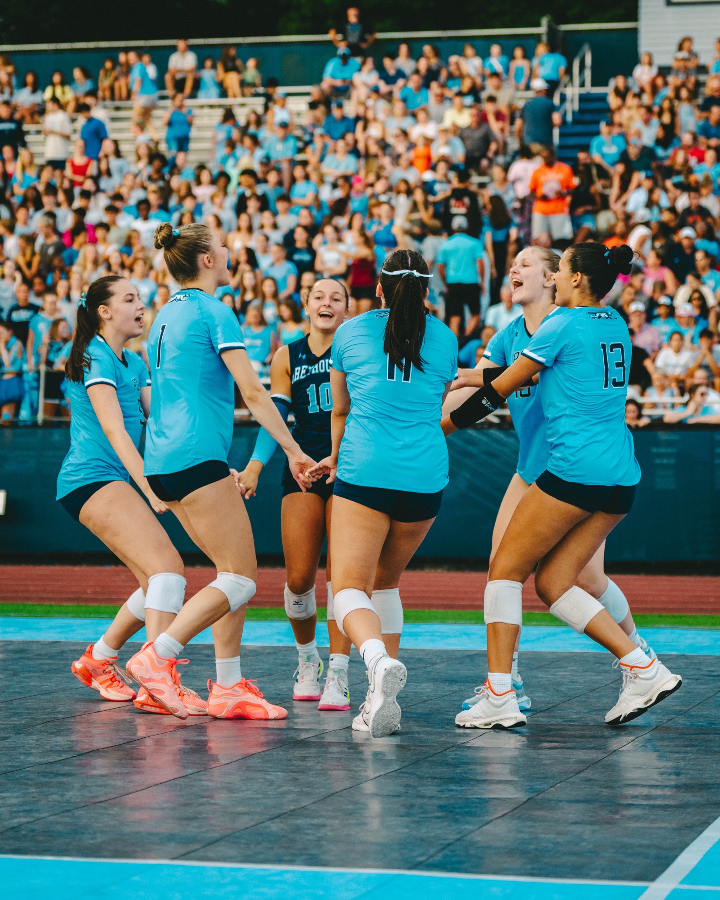 Volleyball teammates celebrating
